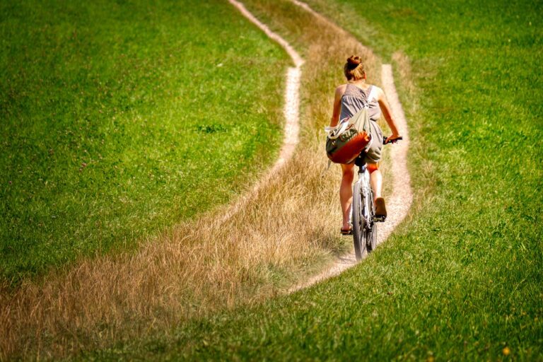 Cricket’s Influence on Indigenous Knowledge Systems