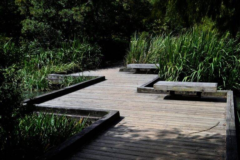 Mindful Waste Reduction: Strategies for Minimizing Trash and Recycling Responsibly