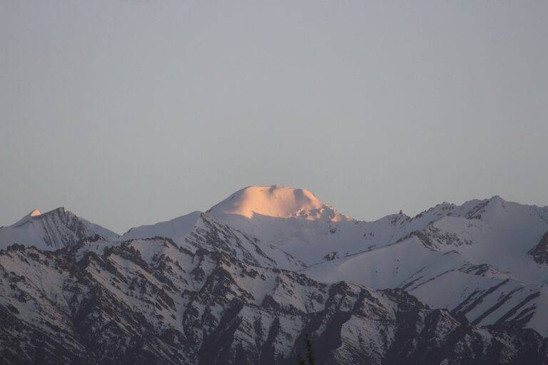 Analyzing the Impact of Energy Independence Policies on Voter Sentiment